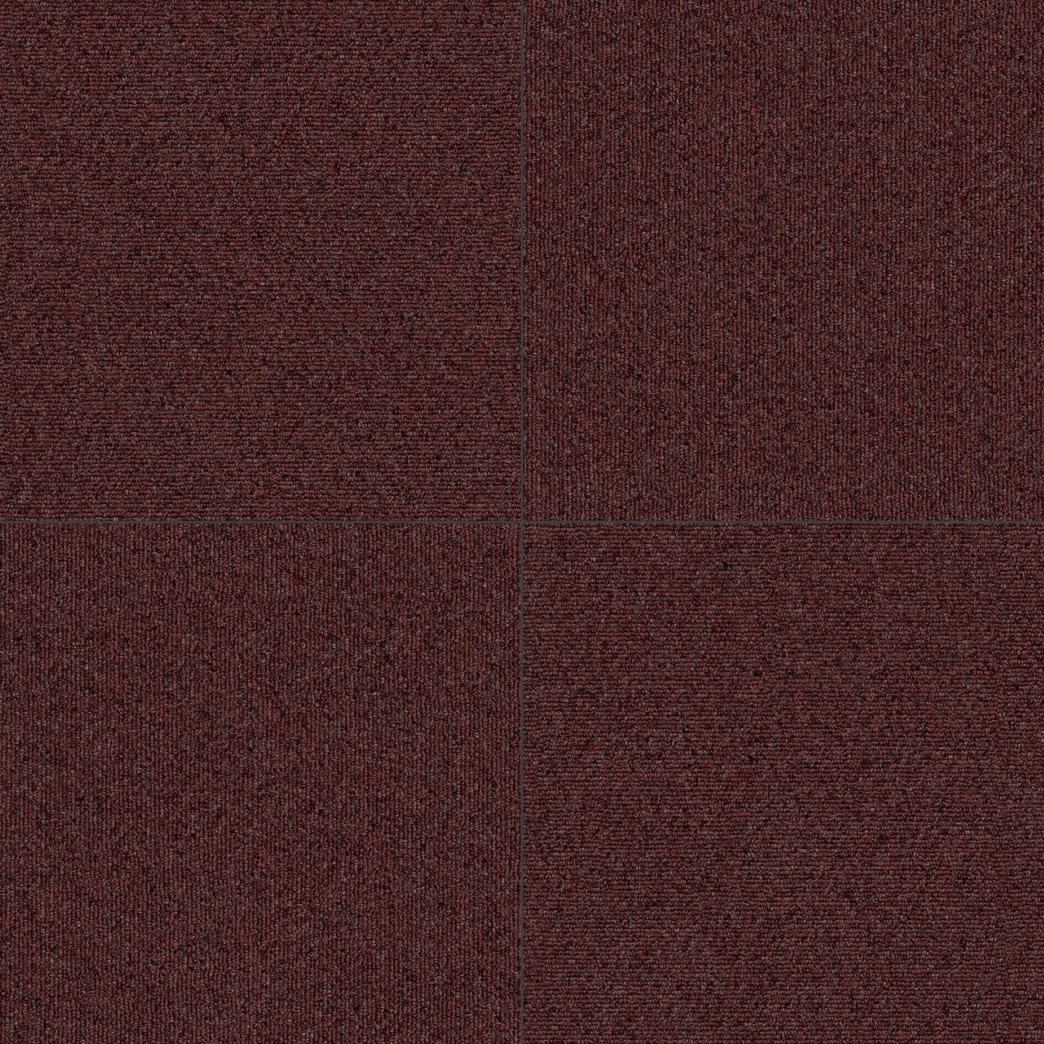 FSM 4204.jpg