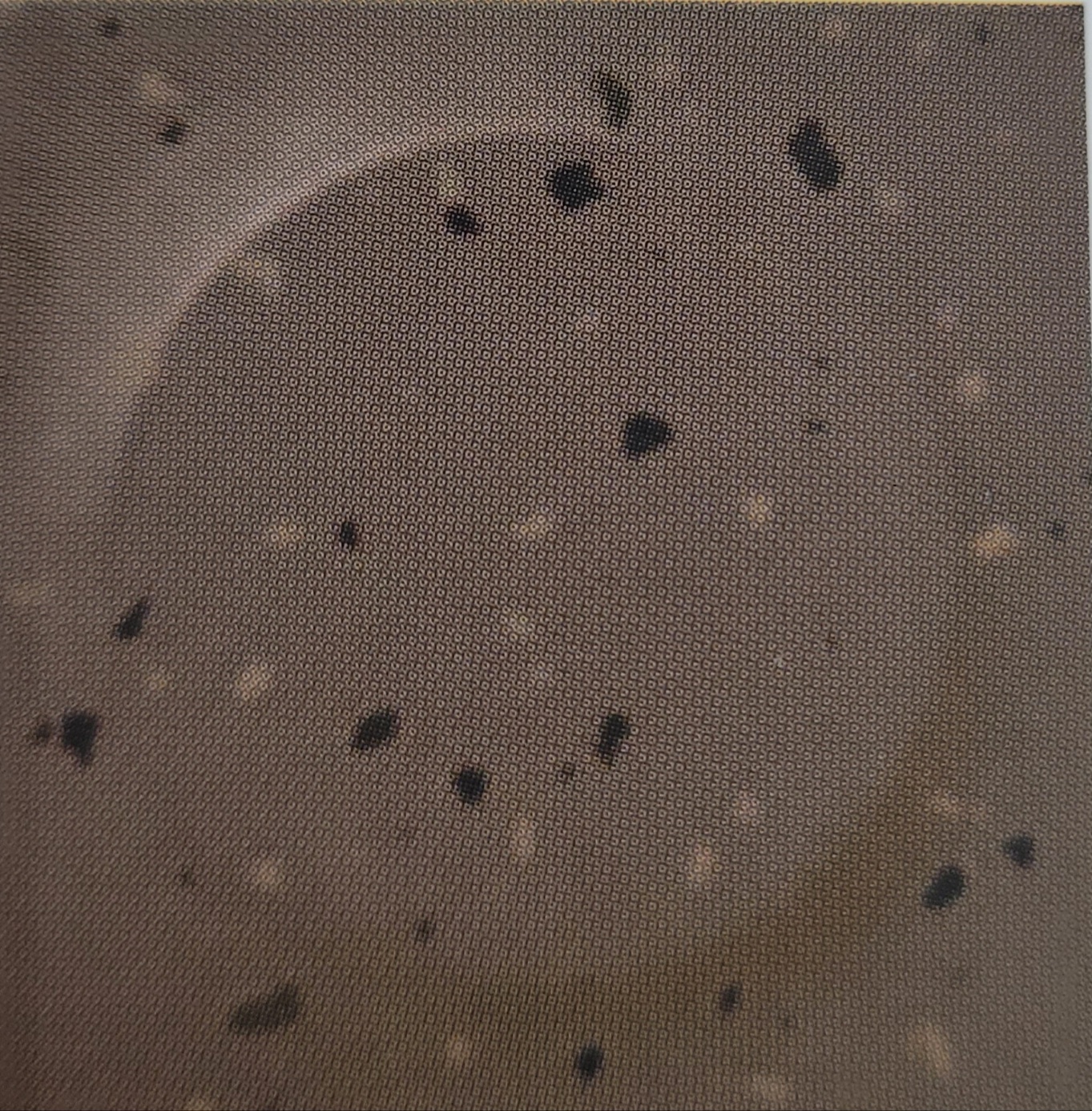 TICR 495.jpg